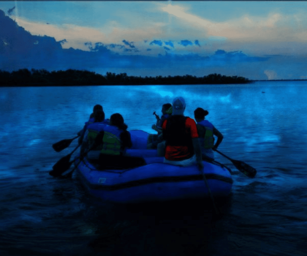 Bioluminescence Tour On The Banana River