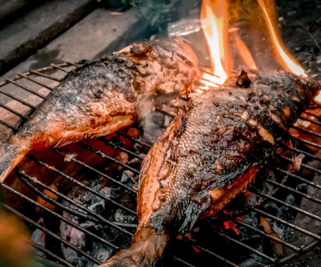 grilled fish caught directly from the Krka River