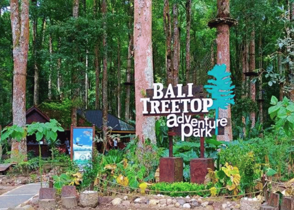 Bali Treetop Adventure Park
