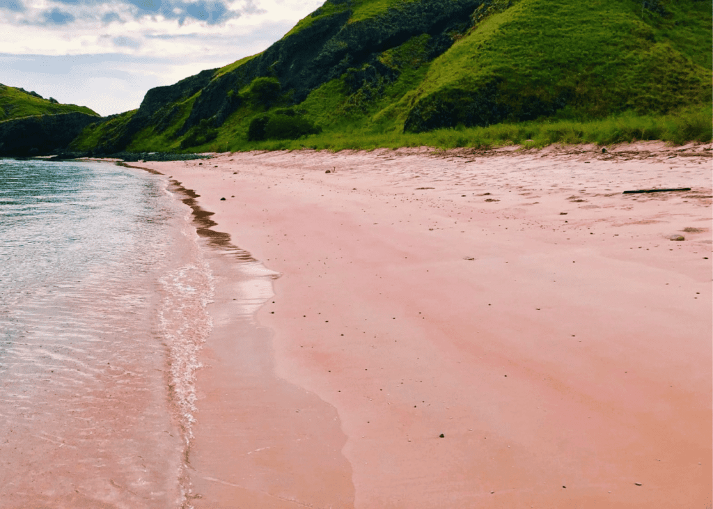 Padar Island Pink Beach