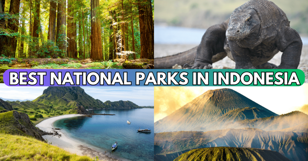 Best National Parks in Indonesia