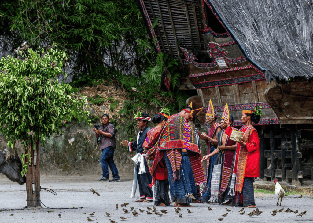 Daily Rhythms and Cultural Practices Of Batak people