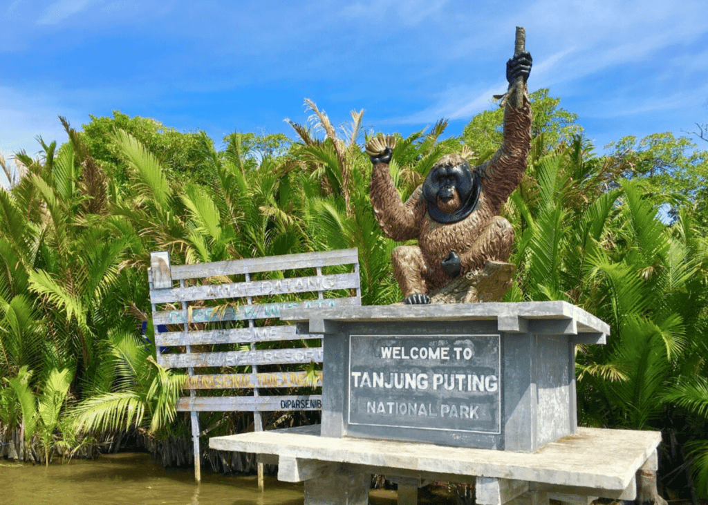 Tanjung Puting National Park